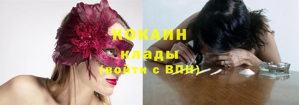 бошки Дмитровск