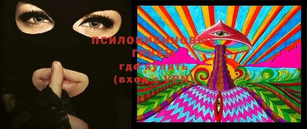 бошки Дмитровск
